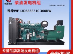 300KW濰柴柴油發(fā)電機(jī)組WP13D385E310視頻介紹