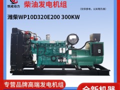 300KW濰柴WP10D320E200柴油發(fā)電機(jī)組視頻介紹