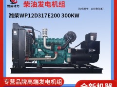 300KW濰柴WP12D317E200發(fā)電機(jī)組實(shí)物介紹視頻