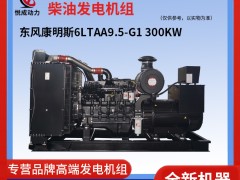 300KW東風(fēng)康明斯柴油發(fā)電機(jī)組 柴油機(jī)型號(hào)6LTAA9.5-G1