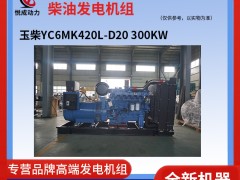 300KW玉柴柴油發(fā)電機(jī)出廠前測試視頻