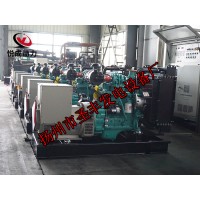 QSB3.9-G2康明斯動(dòng)力配套50KW柴油發(fā)電機(jī)組